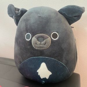 Squishmallow Dog Natty